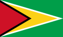 Kooperative Republik Guyana - Flagge