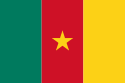 Republika Kamerunu - Flaga