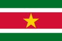 蘇利南 - 旗幟